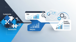 When to Choose a Custom Web Application for Your Business